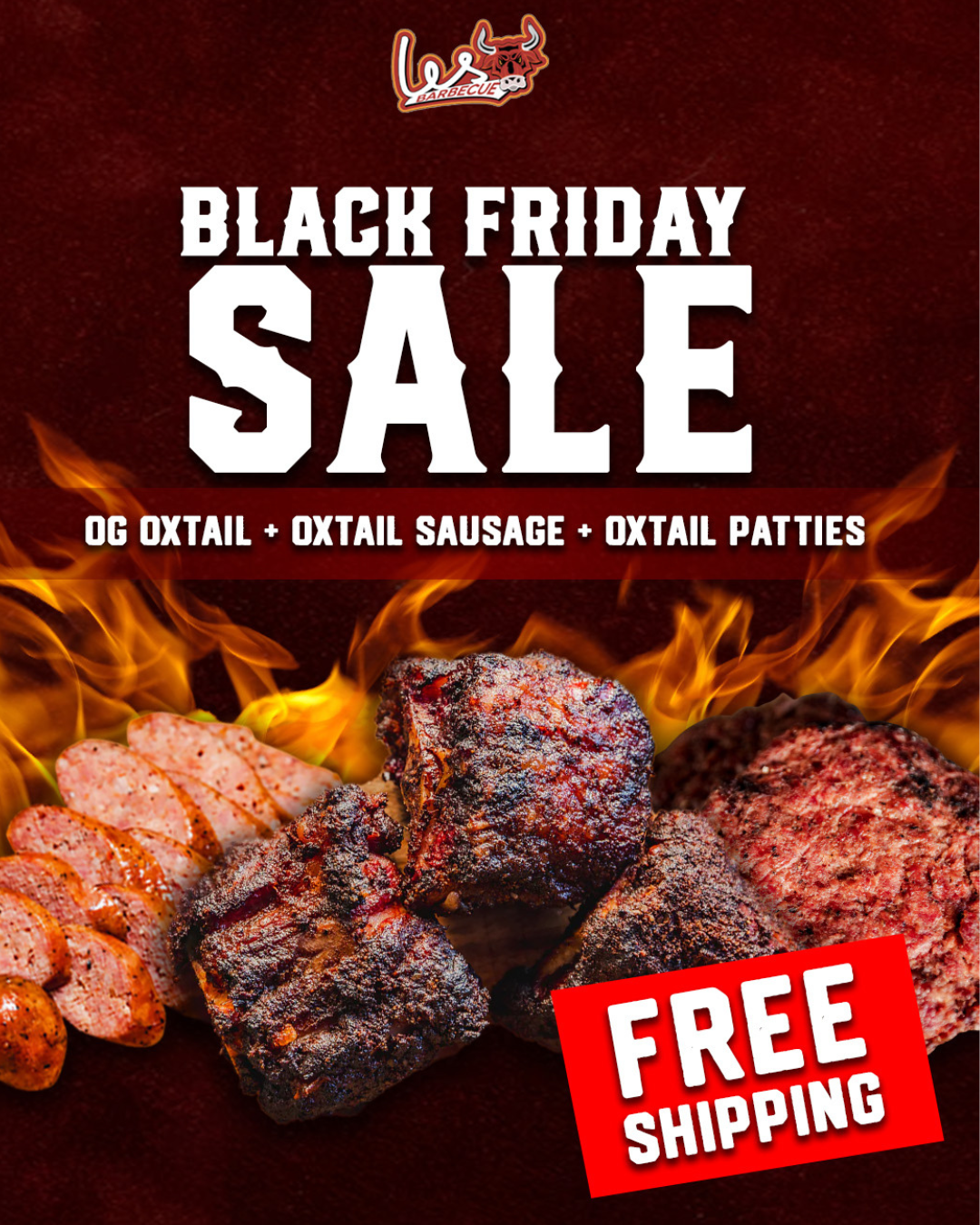 Black Friday Special Offer